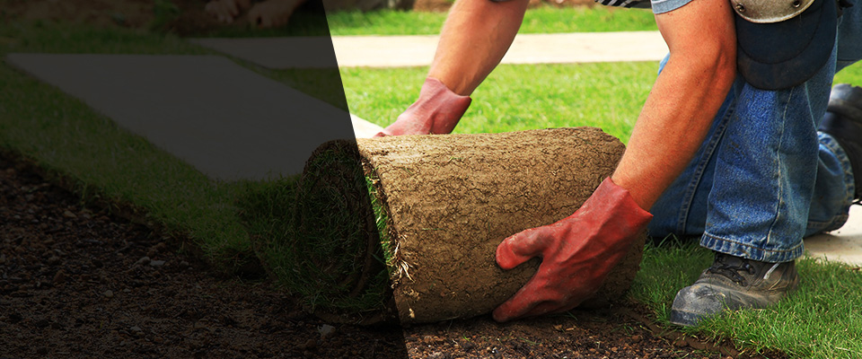 Lake Geneva Landscapers